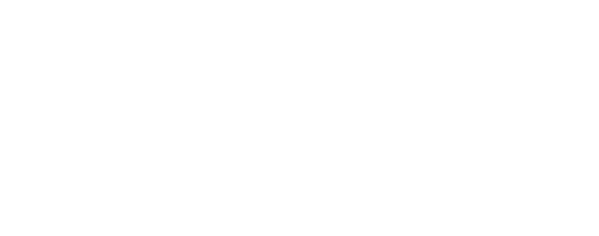 VandS Nampo Branch Logo